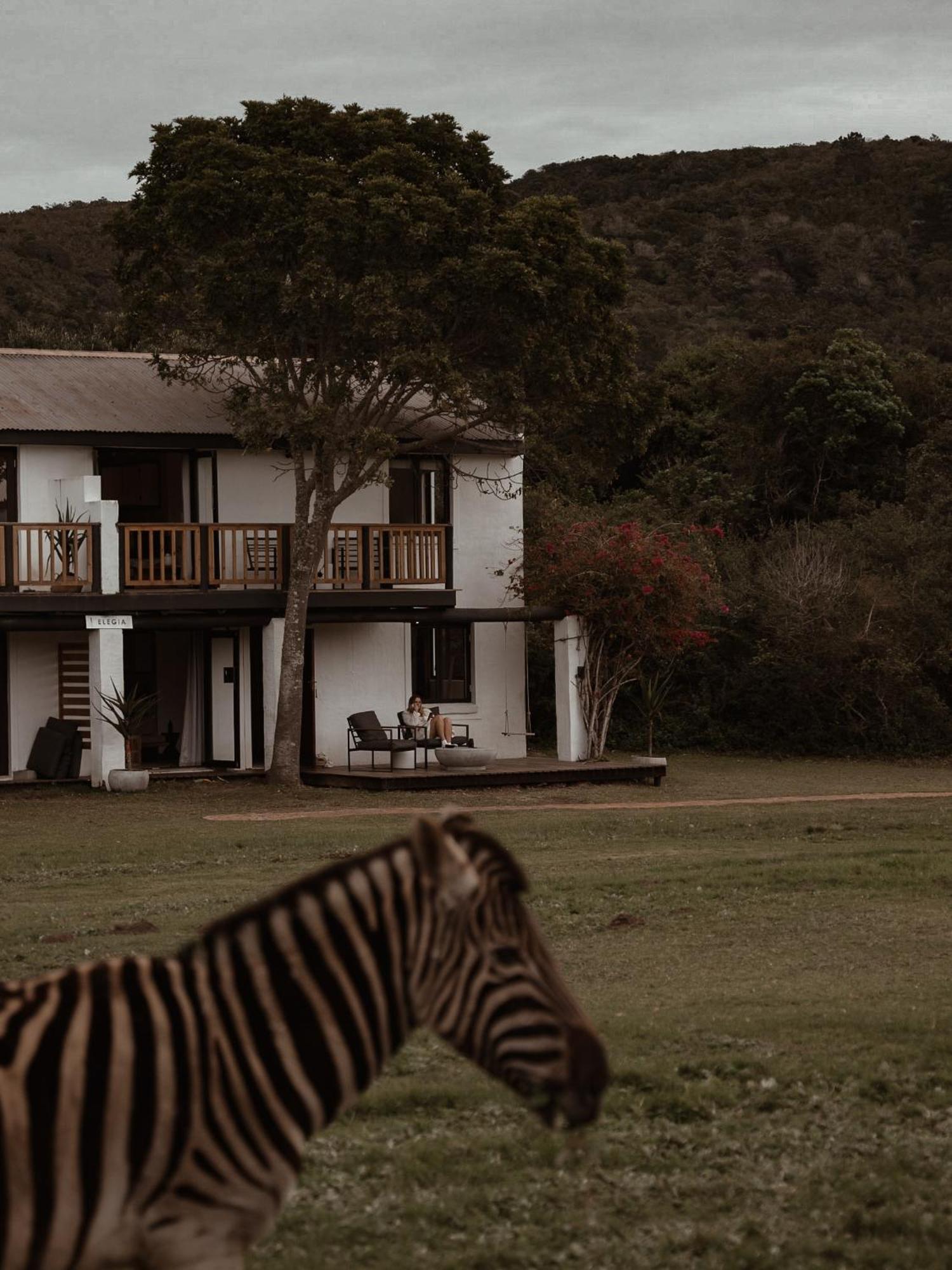 Stanley Island Villa Plettenberg Bay Eksteriør bilde